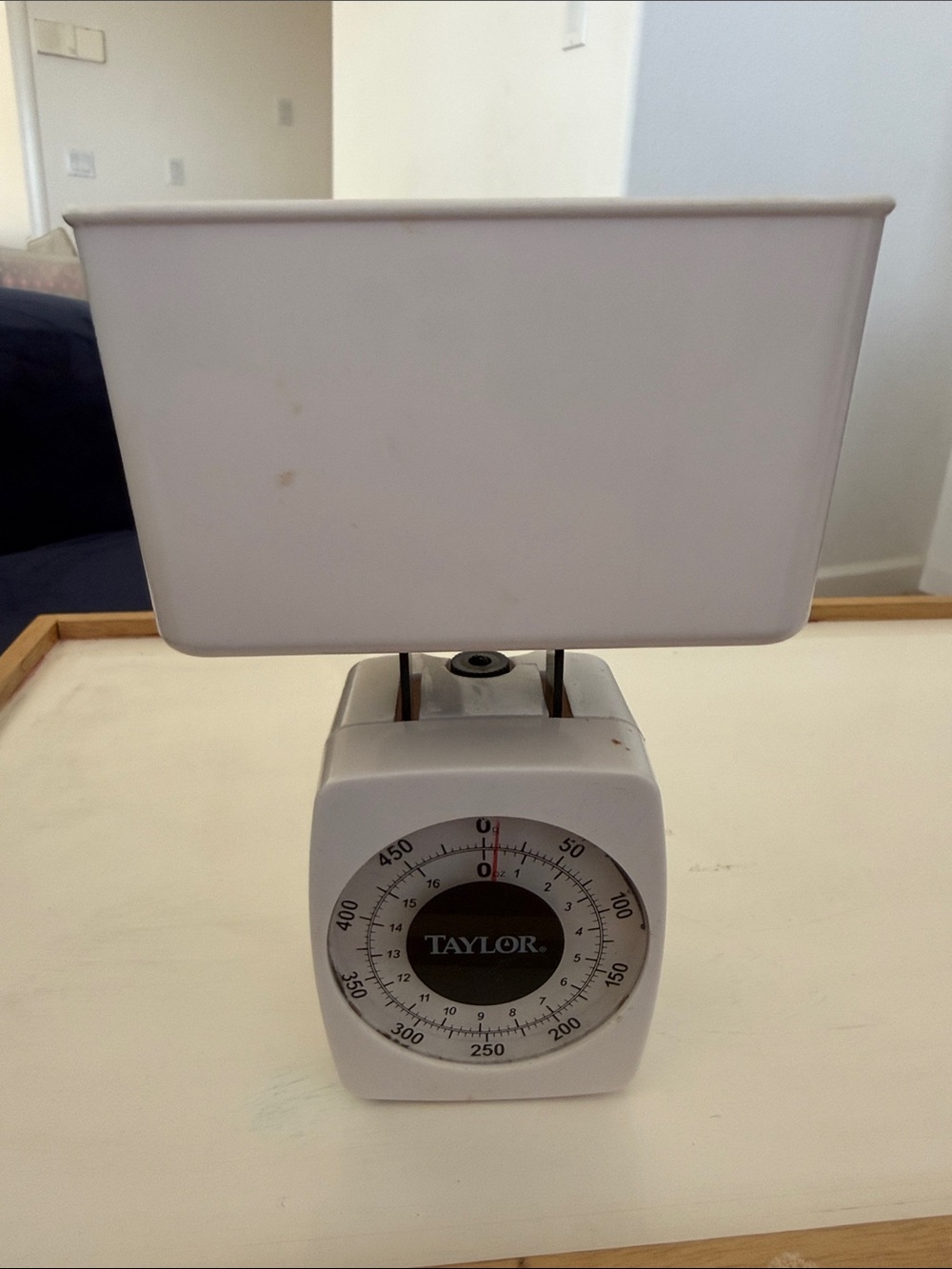 Taylor White Plastic Mechanical Kitchen Scale with Removable Tray